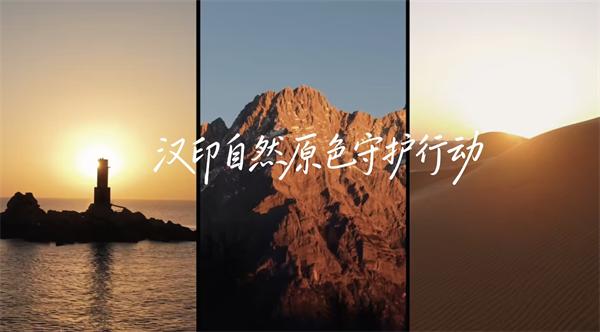 008PG国际三原色守护行动 008PG国际三原色守护行动