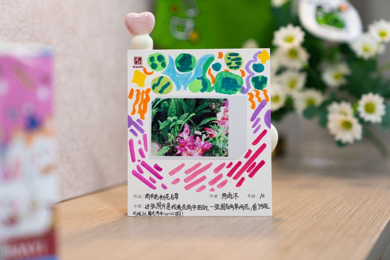 008PG国际拍立得作品 雨中前粉花后草 008PG国际拍立得作品 雨中前粉花后草